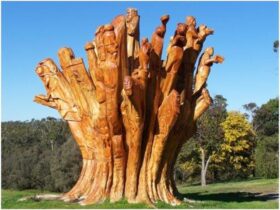 Tree Carvings - Dartmoor