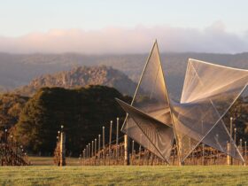 Art in the Vines at Hanging Rock Winery