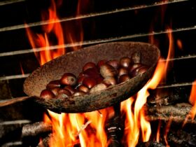A pan filled with chestnuts is cooking over an open fire