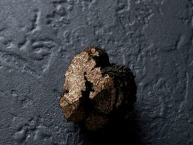 Red Hill Truffle - Laura