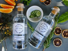 Favourite gins and botanicals