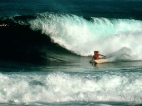Surfer Mark Occhilupo on a wave