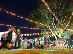 Dal Zotto Wines Weekend Fit For a King fairy lights dance floor live music
