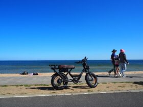 An e-bike parked in front of the beach and ocean. A family is walking on the path along the beach.