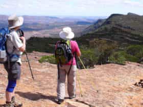 Hikes in the Flinders Ranges