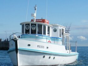 Plover - the heart of Bay Fish N Trips