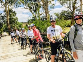 Cycling Tours Yarra Valley