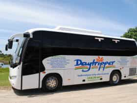 Daytripper Tour bus