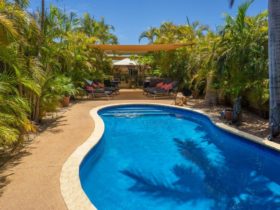 Swimmingpool - Relax in tropical surrounds. Ningaloo Lodge is famous for luxury gardens.
