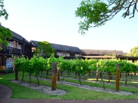 Novotel Vines Resort, Swan Valley, Western Australia