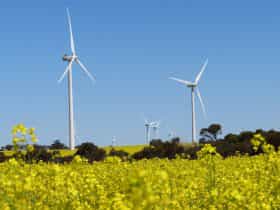 Collgar Wind Farm, Merredin, Western Australia