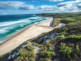 Conspicuous Beach to Rame Head Campsite, Nornalup, Western Australia