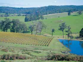 Geographe Alternative Wine Trail, Bunbury, Western Australia