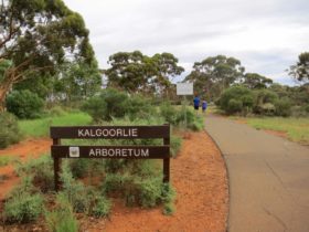 Kalgoorlie Arboretum, Kalgoorlie, Western Australia