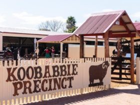 Koobabbie Precinct, Coorow, Western Australia