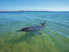 Koombana Bay, Western Australia