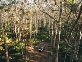 Leeuwin-Naturaliste National Park - Cowaramup, Cowaramup, Western Australia