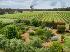 Whicher Ridge Wines, Chapman Hill, Western Australia