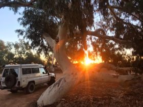 Bonito Camper, Coolbellup, Western Australia