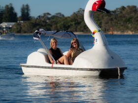 Swan Pedal Boat