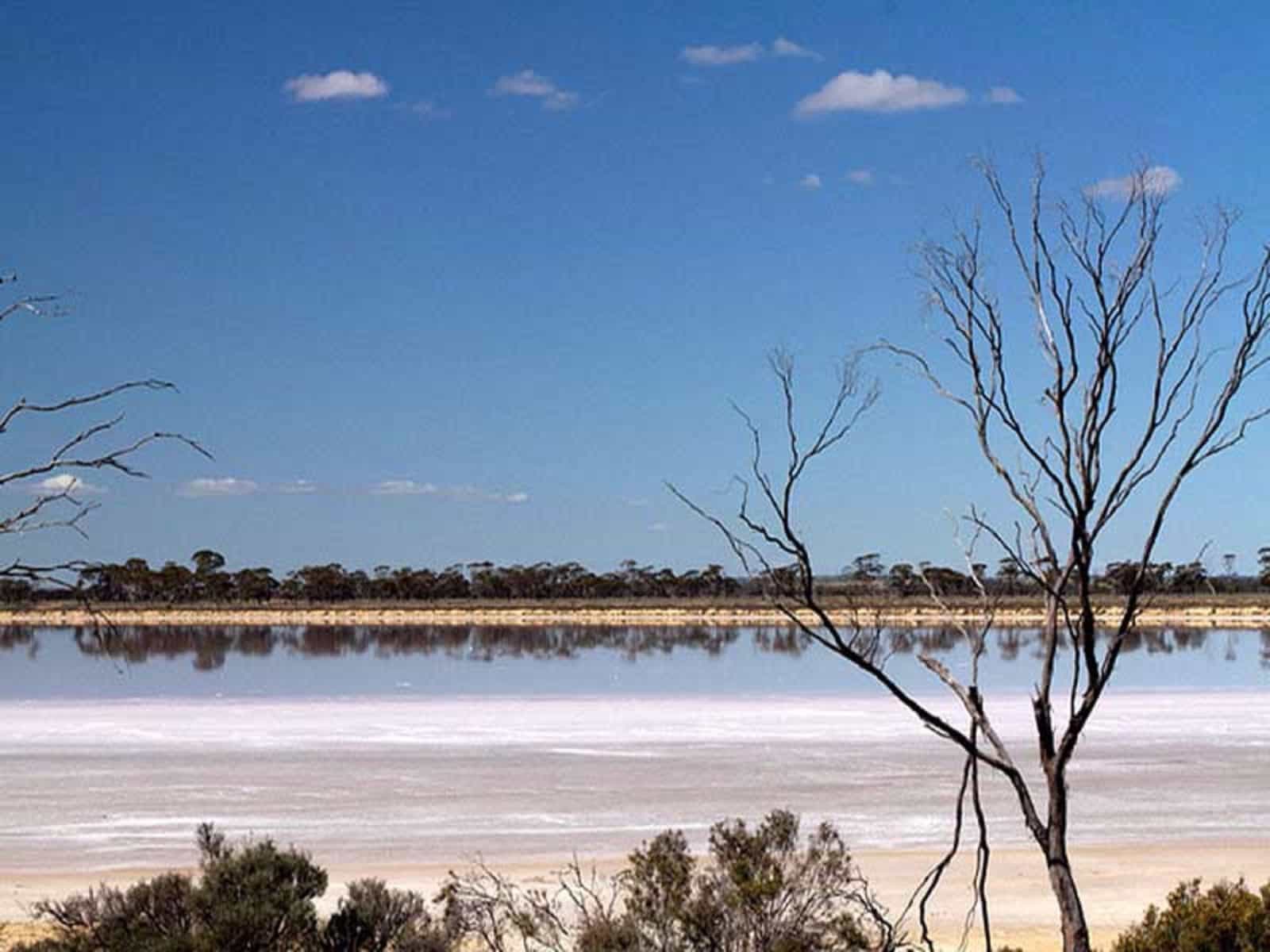 Lake Grace, Western Australia
