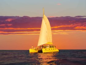 Charter 1 operates Sunset Sails from Fremantle and Rottnest Island
