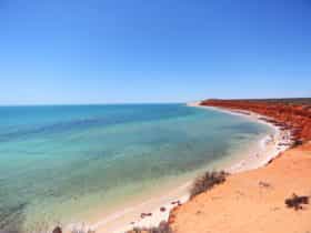 Shark Bay Coastal Tours, Denham, Western Australia