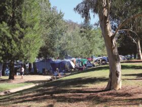 Cotter Campground. Photo courtesy of Mark Will.