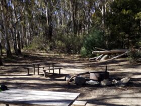 Photo of picnic tables and fire pit with trees in background