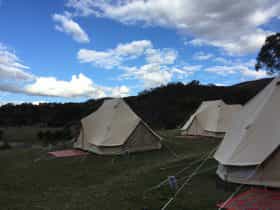 6m tents