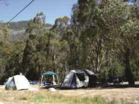 Camping at Woods Reserve. Photo courtesy of Allan Frith