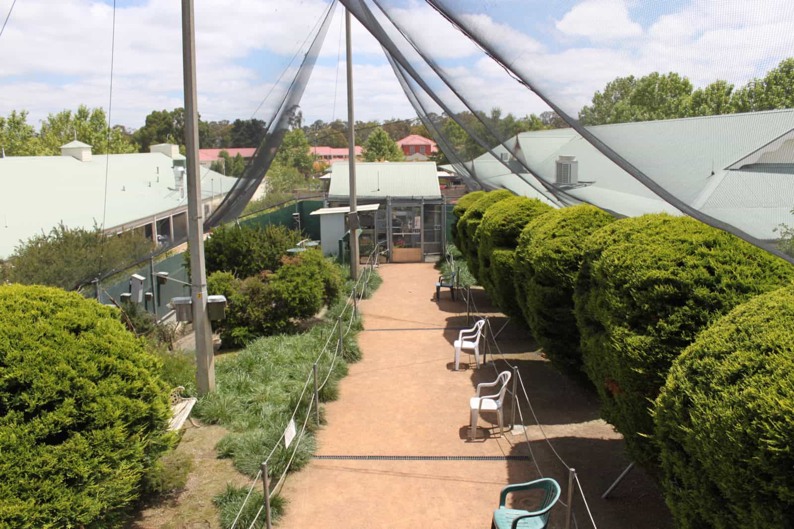 View inside the Canberra Walk in Aviary