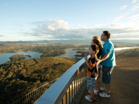Family looking over Canberra from the Telstra Tower lookout