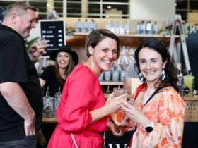 Cheers at the Canberra Christmas Gin Festival