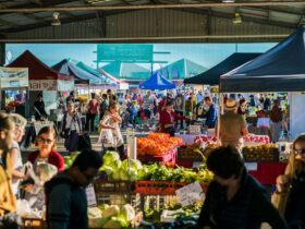 Capital Region Farmers Market