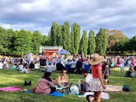 people sitting on a grass field watching Carols in Town Park Canberra