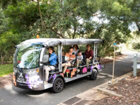 Adults and children on board the Flora Explorer electric bus