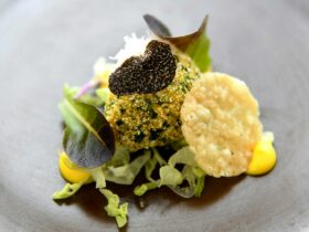 Savoury dish topped with truffle shavings