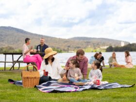 A family having a picnic on green grass in front of a lake