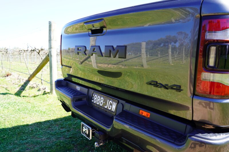 Ram at Winery