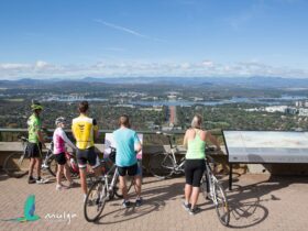 5 cyclists stand with their bikes behind the Marion Mahony Griffin View handrail.