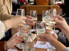 canberra wine tours