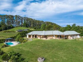 Byron Vale - Byron Bay - Aerial View of the House d