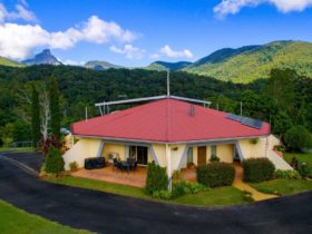 A View of Mount Warning Bed and Breakfast