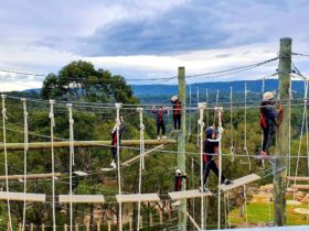 3 tiered high ropes course