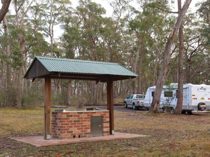 Barbecue and camping area in Apsley Falls campground, Oxley Wild Rivers National Park. Photo: Rob