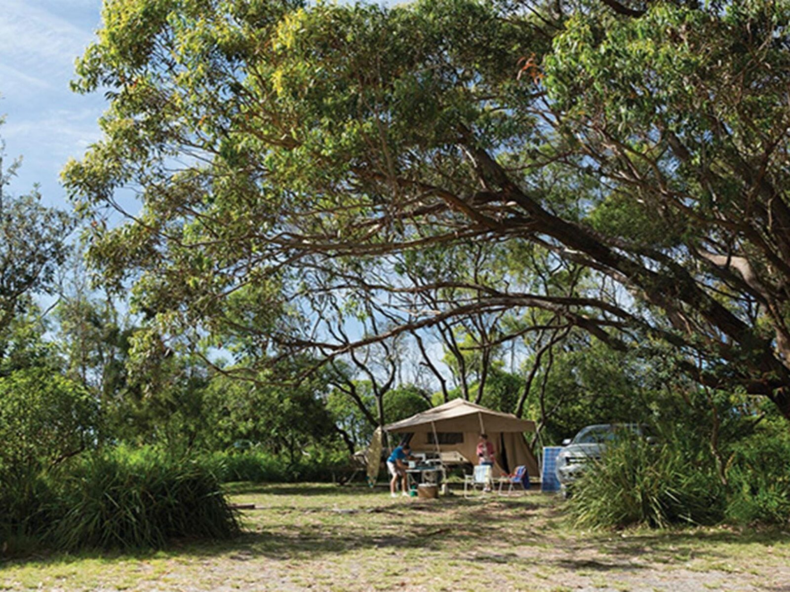 Campers at their tent surrounded by trees in Aragunnu campground, Mimosa Rocks National Park. Photo: