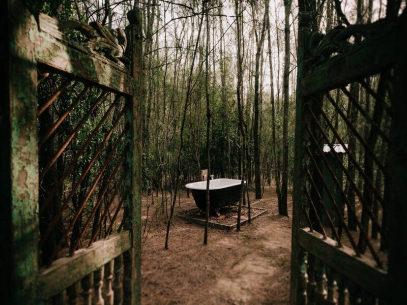 Treetops Lodge - Outdoor Bathtub
