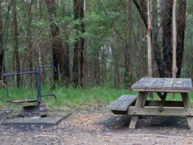 A picnic table and fire ring at Boundary Falls campground and picnic area, Gibraltar Range National