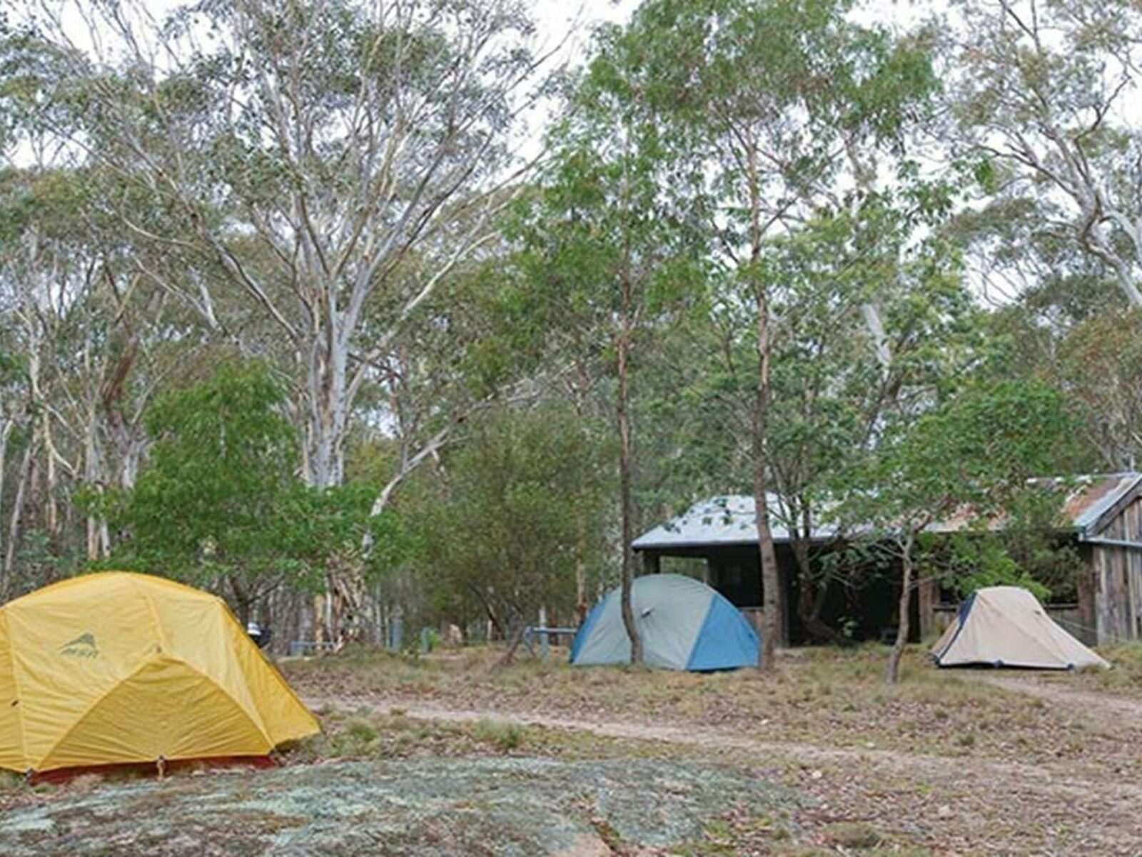 Tents at Boyd River campground, Kanangra-Boyd National Park. Photo: Nick Cubbin © DPIE